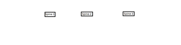 spine-leaf-cabling1.png